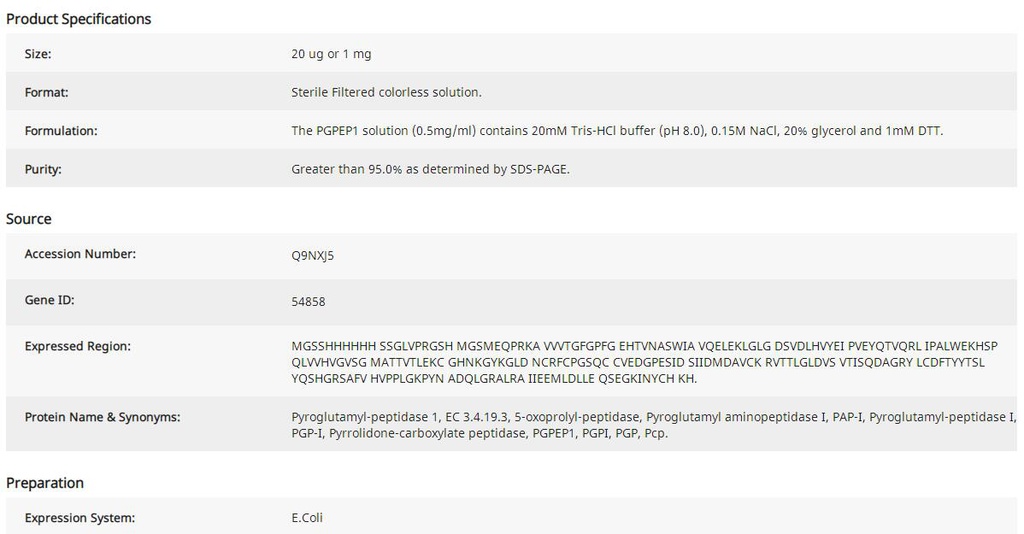 Pyroglutamyl-Peptidase I, Human Recombinant