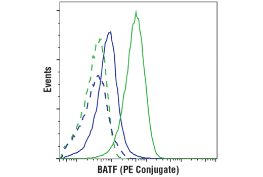 BATF (D7C5) Rabbit mAb (PE Conjugate)
