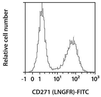 CD271 (LNGFR)-FITC,h, ME20.4-1.H4, 100 t