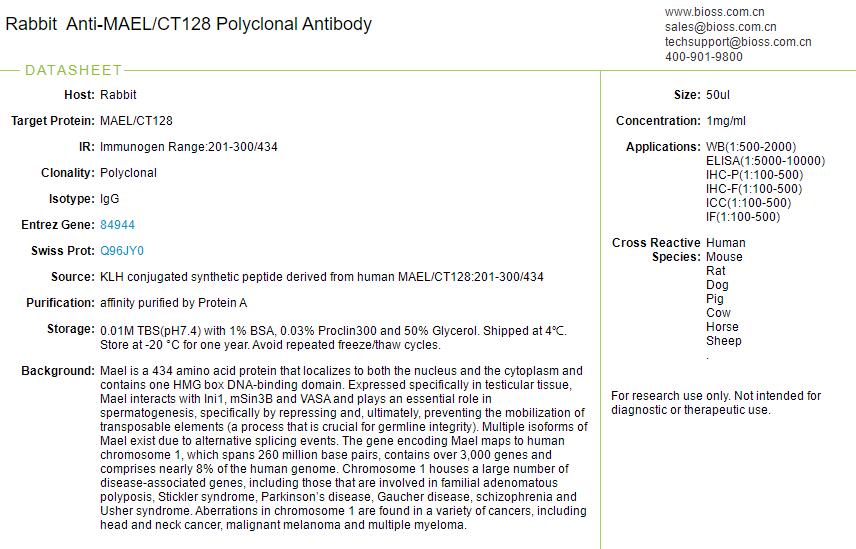 癌/睾丸抗原128抗体
