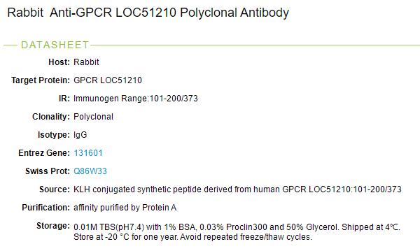G蛋白偶联受体LOC51210蛋白抗体