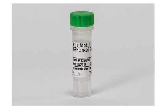Anti-biotin HRP-linked Antibody