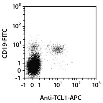 Anti-TCL1-APC, human 30 tests