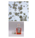 Ovarian Cancer Organoid Kit卵巢癌