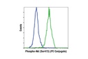 Phospho-Akt (Ser473) (D9E) XP Rabbit mAb (PE Conjugate)