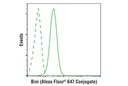 Bim (C34C5) Rabbit mAb (Alexa Fluor 647 Conjugate)