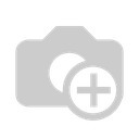 Oct-4 (V241) Antibody
